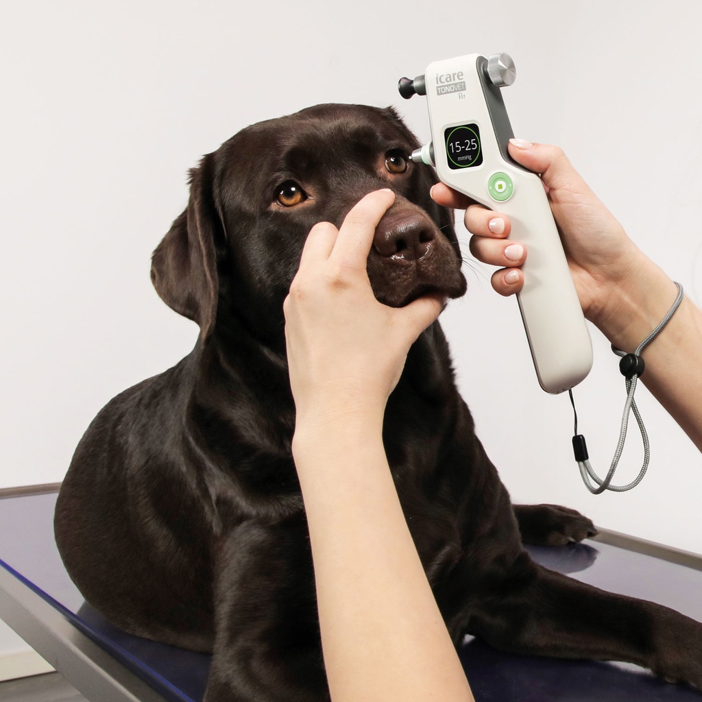 Tonometer, iCare Tonovet Pet